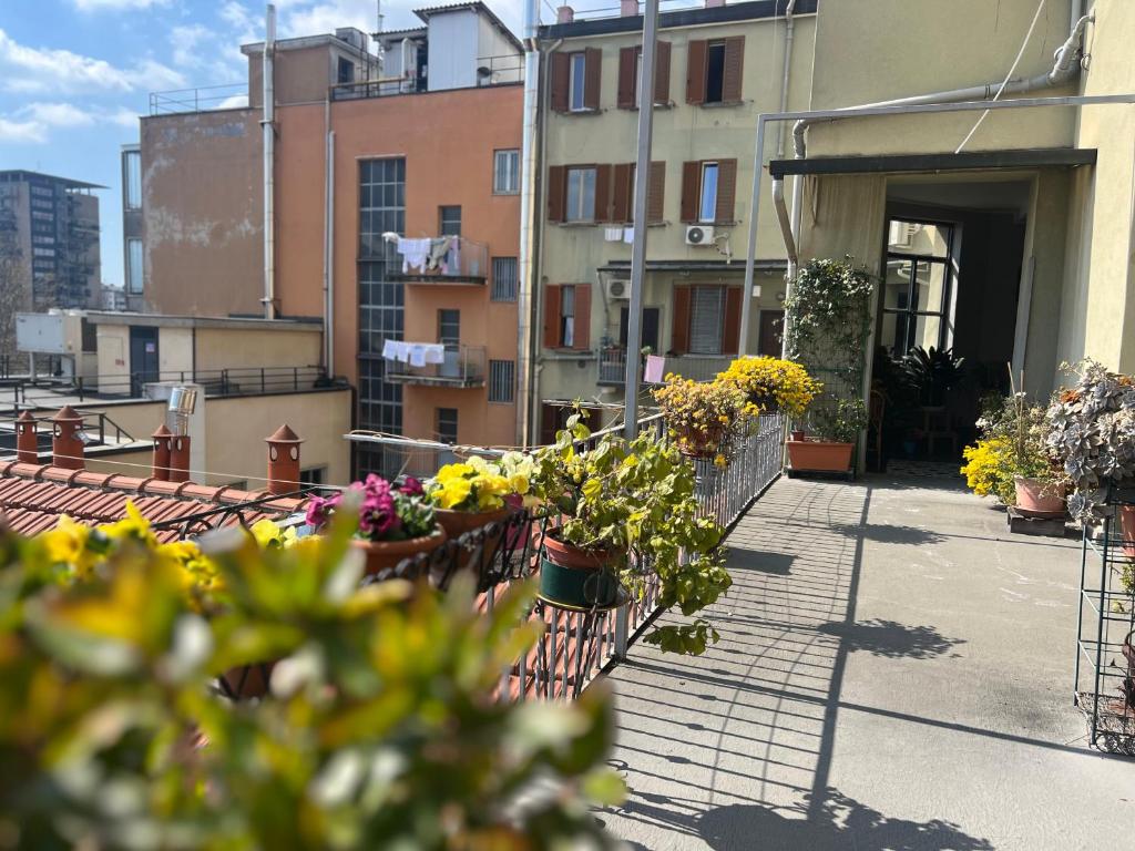BILOCALE | TOSCANA